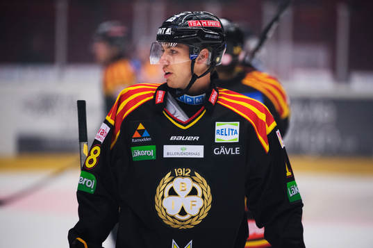 Brynäs Anton Rödin