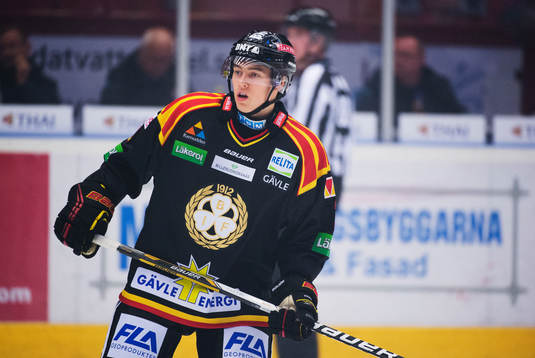 Brynäs Christian Djoos