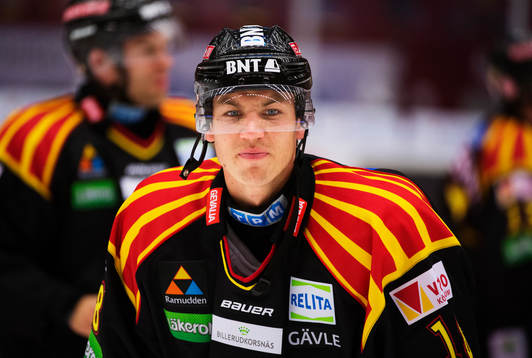Brynäs Anton Rödin