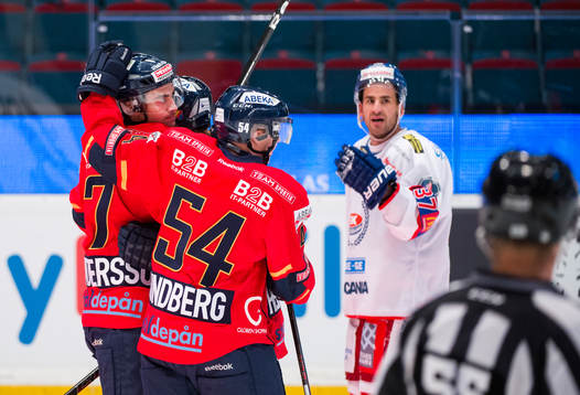 Jubel i Djurgården