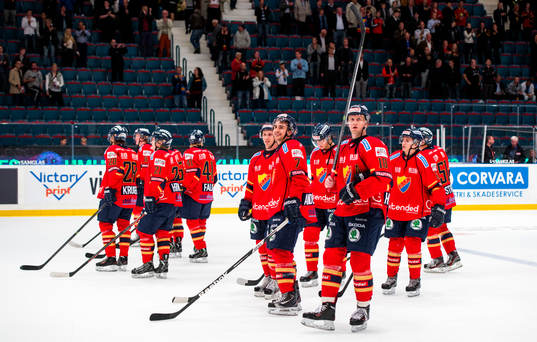 Glada och nöjda Djurgårdsspelare tackar publiken