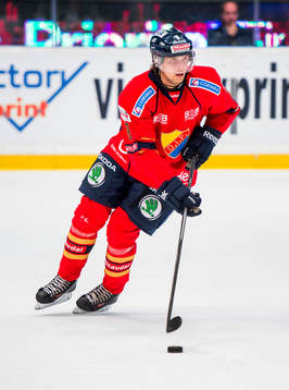 Djurgårdens Linus Arnesson