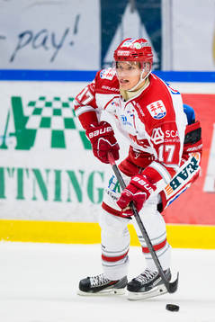 Timrås Anton Wedin