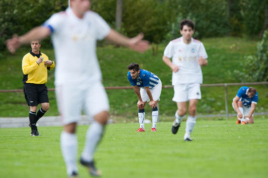 1-1, Pelargonija kvitterar