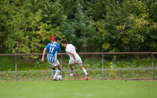 Fotboll, division 7, Pelargonija - Bosna
