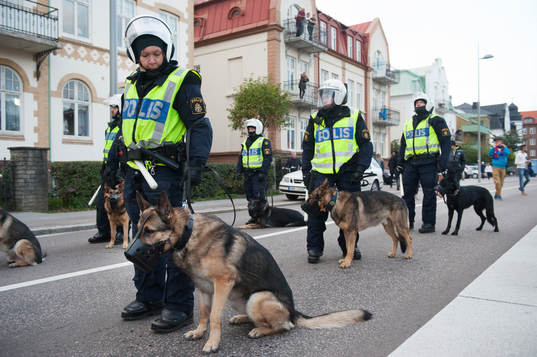 Stort polisuppbåd, poliser med polishundar utanför Olympia