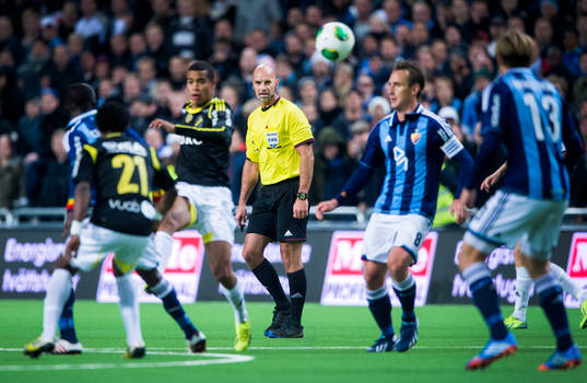 Domaren Stefan Johannesson