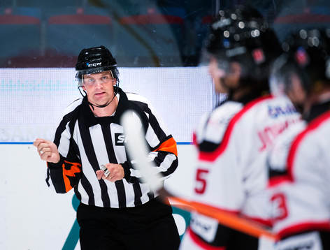 Domare Mikael Nord