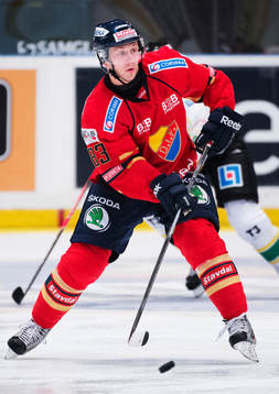 Djurgårdens Dustin Johner