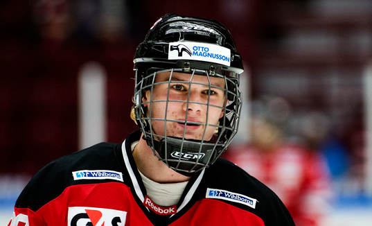 under ishockeymatchen i hockeyallsvenskan mellan Malmö