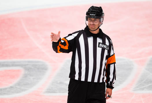 Domare Sören Persson