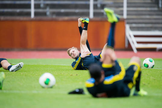 Sebastian Larsson