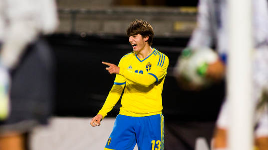 Sveriges Arber Zeneli jublar