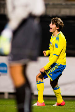Sveriges Arber Zeneli jublar