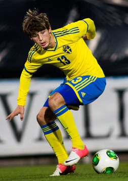 Sveriges Arber Zeneli