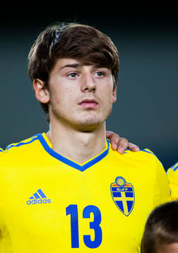 Sveriges Arber Zeneli