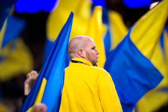 En svensk supporter