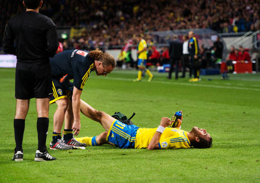 Sveriges Johan Elmander skriker av smärta