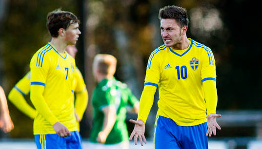 Sveriges Muamer Tankovic reagerar när Irland gör mål