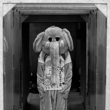 LdB Malmös maskot