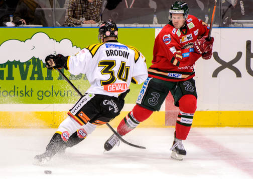 Brynäs Daniel Brodin