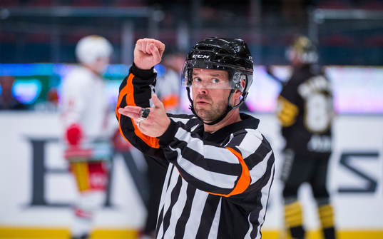 Domare Patrik Sjöberg