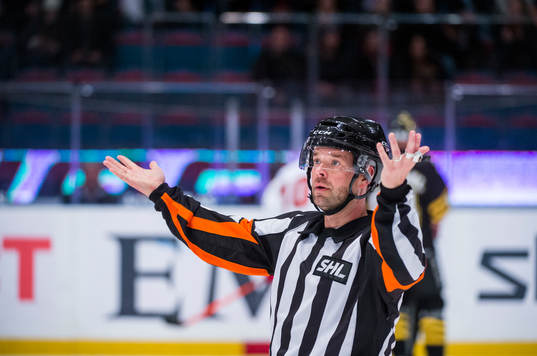Domare Patrik Sjöberg