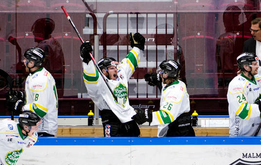 Björklöven jublar vid slutsignal av matchen i
