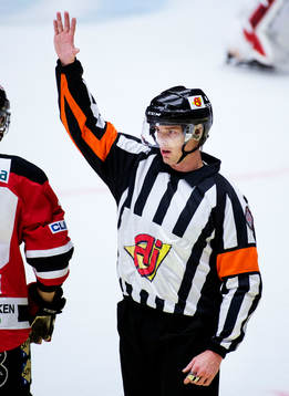 Domare Mikael Andersson