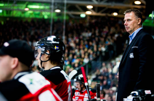 Malmö Redhawks tränare Mats Lusth