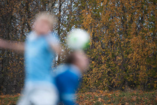 Fotboll med höstfärgad skog som bakgrund i SM-finalen
