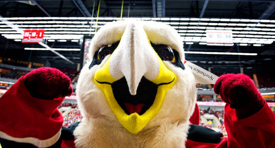 Maskoten Hawkan