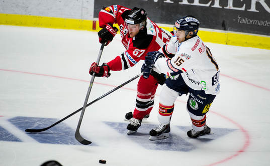 Malmö Redhawks Tobias Ericsson och Djurgårdens Steve