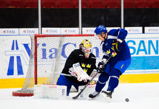 David Rautio  i mål