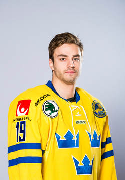 Sveriges Daniel Bång