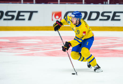 Sveriges Niclas Burström