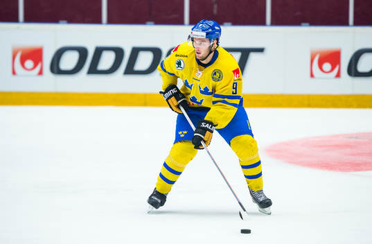 Sveriges Niclas Andersén