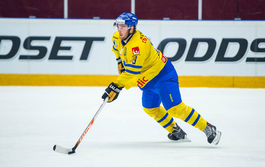 Sveriges Niclas Andersén