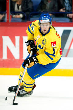 Sveriges Niclas Andersén