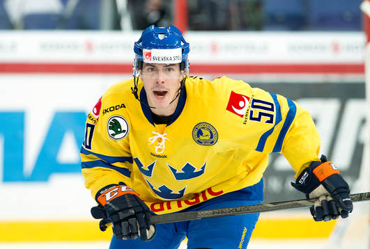 Sveriges Sebastian Erixon