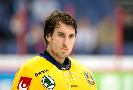 Sveriges målvakt Henrik Karlsson