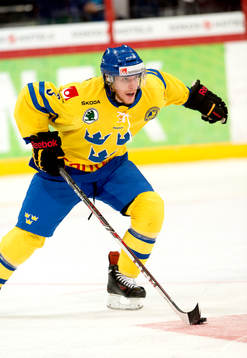 Sveriges Niclas Burström