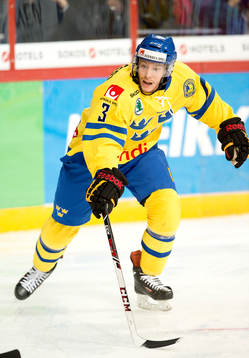 Sveriges Niclas Burström