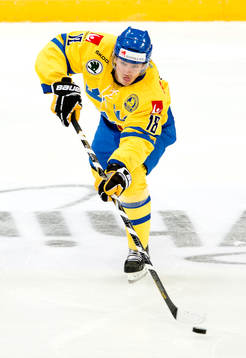 Sveriges Anton Rödin