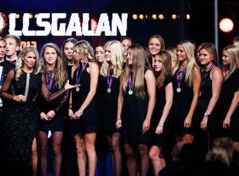 Sveriges F17 landslag