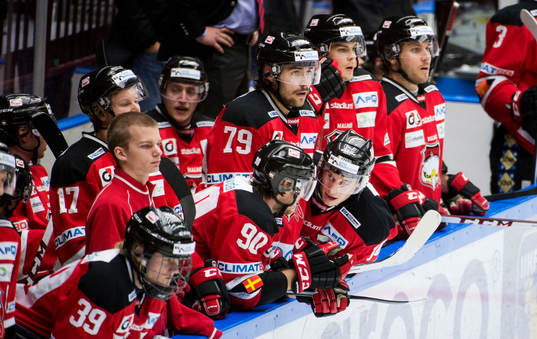 Malmö Redhawks bänk