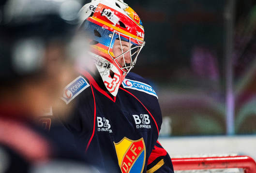 målvakt Adam Reideborn  deppar
