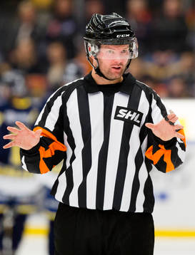Domare David Bergman
