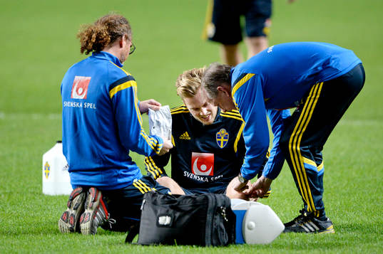 Bläddra bland fler bilder av Fotboll, Sverige A, Träning & Presskonferens