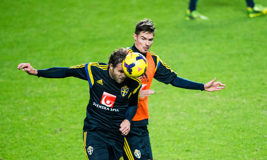 Johan Elmander och Mikael Nilsson